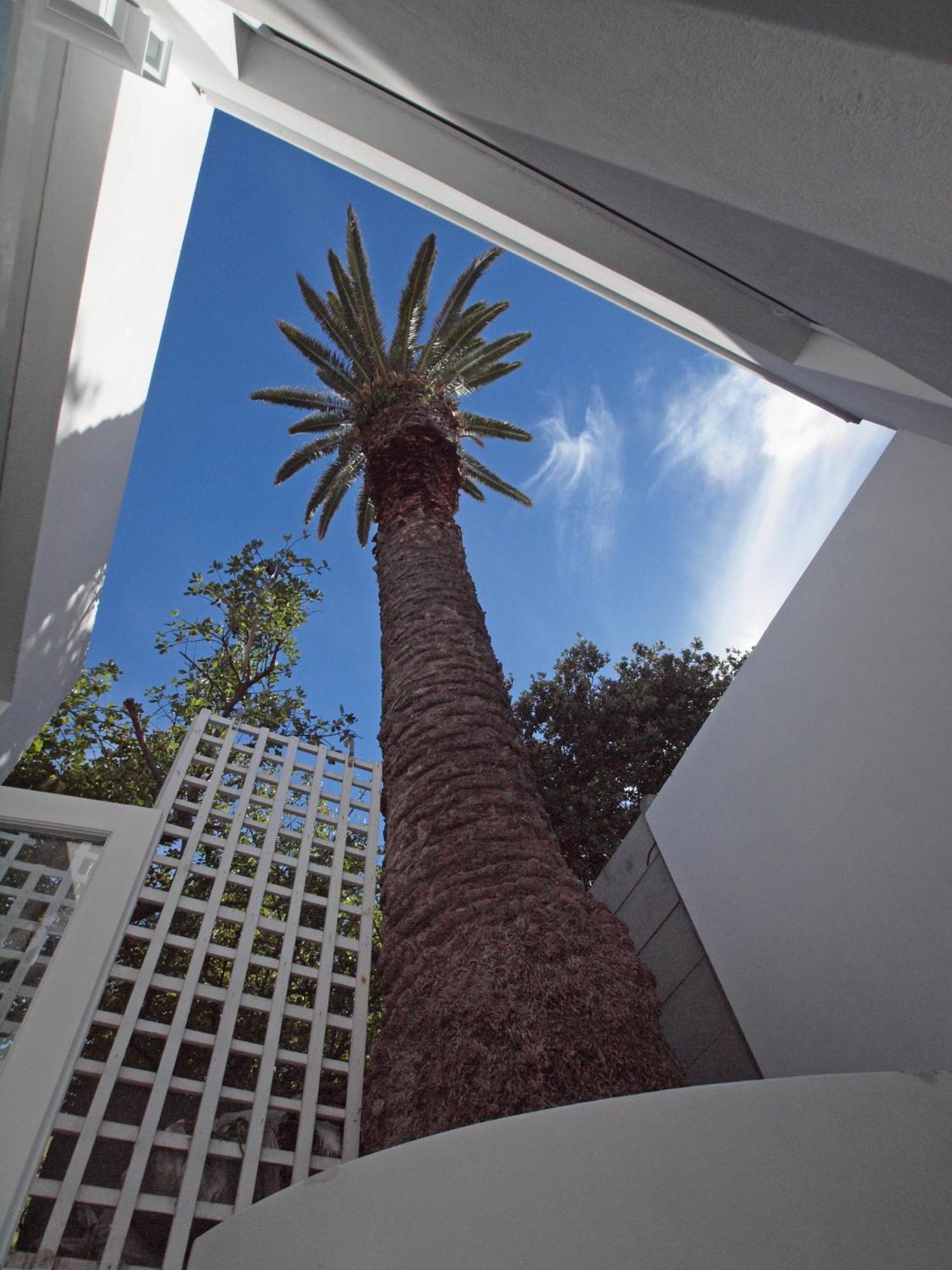 Bella Ev Guest House Muizenberg Esterno foto